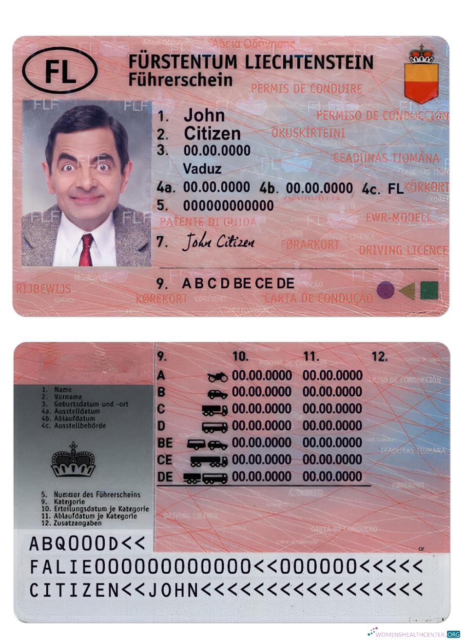 download Liechtenstein driving license